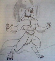 Howling in the moonlit Sky