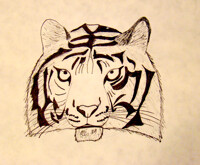Tiger Scribble