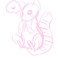 red panda doodle