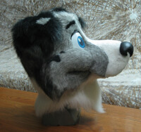 Fizz the Border Collie- Side view
