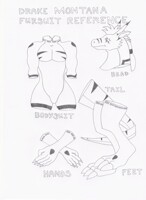 Drake Montana Fursuit