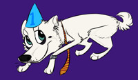 Birthday Dog