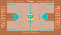 FBA D-League Courts - Georgia Peachtrees (3rd Version)
