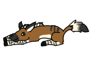 Zedonk character