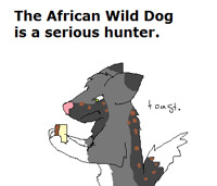 The most serious hunter