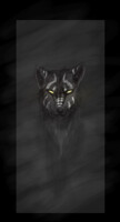 Kraden - wolf