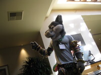 Another Suiter at Anthera 2011