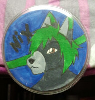 Nix badge 4/8