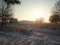 froze wasteland 