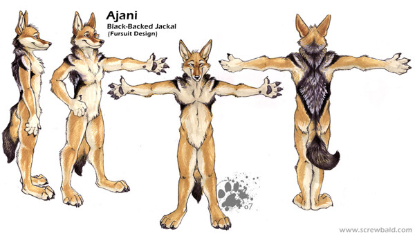Ajani Fursuit Design By Blotch Fur Affinity Dot Net Ajani Fursuit Design By Blotch Fur Affinity Dot Net