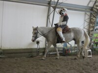 Rally on a horse 