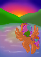 Watching the Sun Set