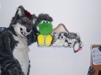 my favorite plushies...