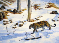 Amur leopard