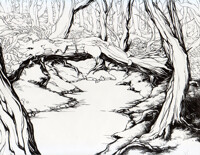 landscape practice - ink