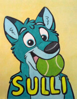 Con Badge for Sulli