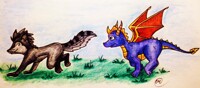 Spyro Chasing     DarkChatty