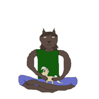 Steelwingcommission 2/2