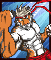Ticer Badge MFF'11
