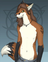 Full Body Meme