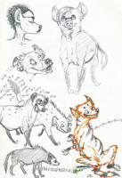 More hyenas