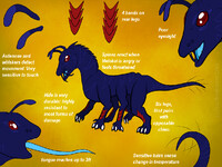 Melokai Species Ref