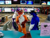 MassFurbowl November 2011 - Pic 2