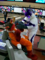 MassFurbowl 2011 - Pic 3