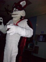 MassFurbowl November 2011 - Pic 11