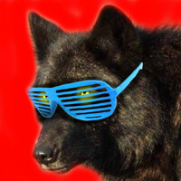Hipster Wolf