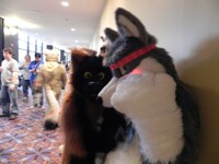 WolfPupTK's " BLUSHING STILL " !