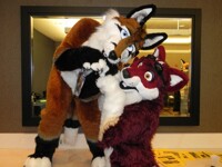 Montainafox and Tigwolf ADORABLE! " CONTINUATION! "