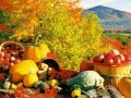 Brand New Day - Edible Era: Harvest Seasons Theme