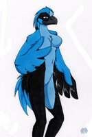 avian Feana