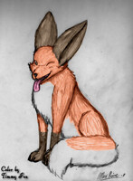 Collab - Timmy the Fox