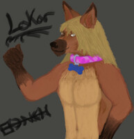 Commission done for me by Tenchu-the-wolf