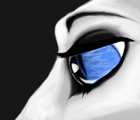 Eyeball studying.