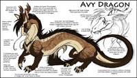 Avy Dragon