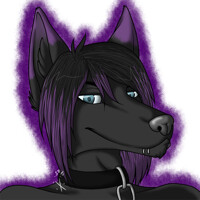 -CONTEST WINNER: Kota-