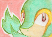 Snivy