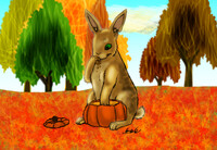 Pumpkin is delicious 