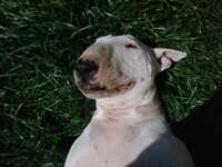 Rest in Peace Misti :(