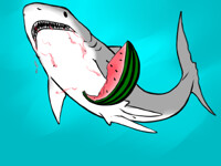 Shark Stream continues!