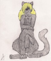 Chakat Silvertail