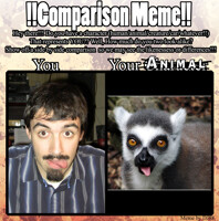 Comparison MEME 2: Your Animal