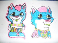 AKira Badges