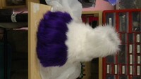 feet paws
