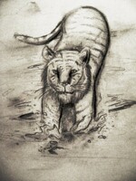 Tigre Líquido [Revisión]