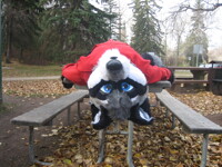 UPSIDE DOWN ON THE TABLE!