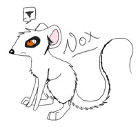 Nox